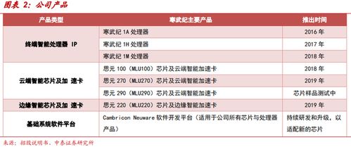 寒武纪 AI芯片独角兽的突围之路与工业互联网数据服务的新航向
